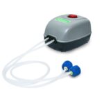 rs9901