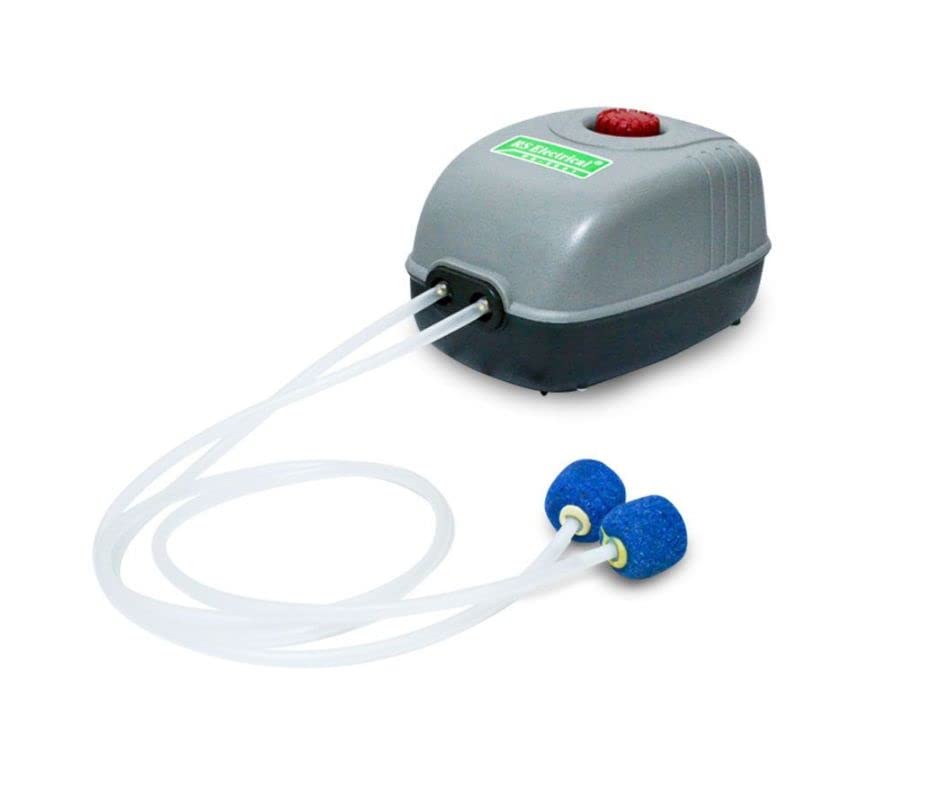 rs9901