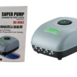 rs9902